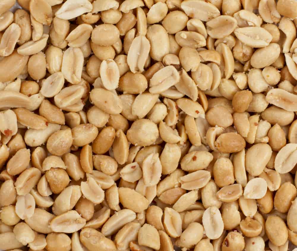 Shelled raw peanuts wholesale price bulk buy