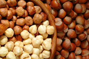 hazelnut pests and diseases