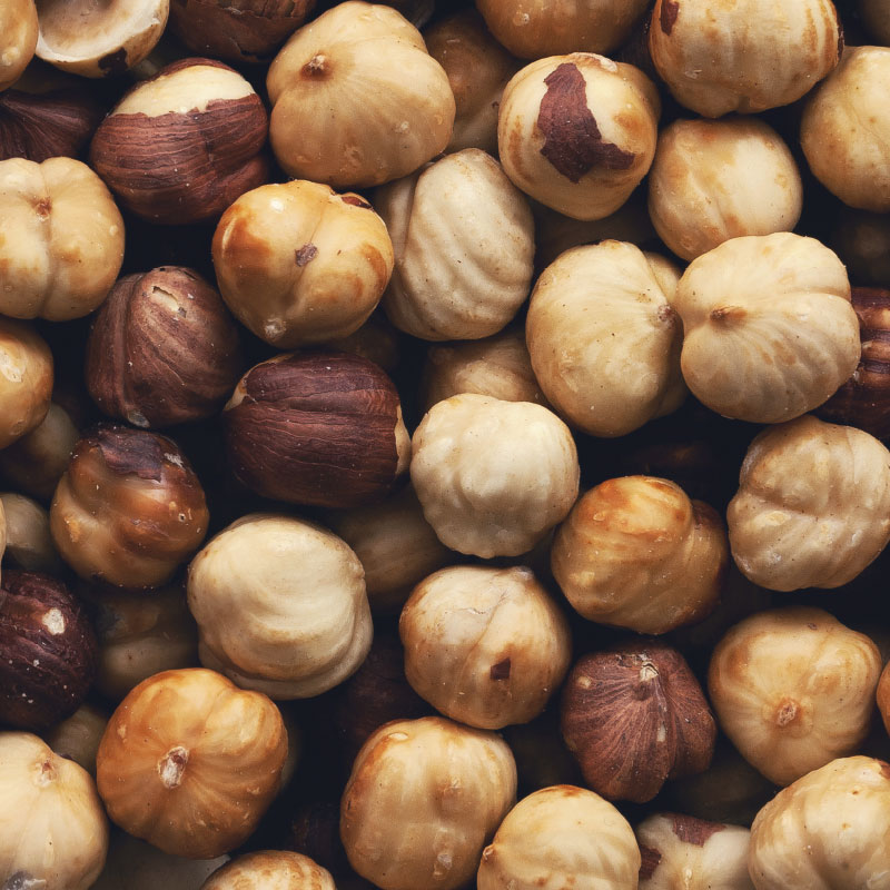 hazelnut pests and problems in business