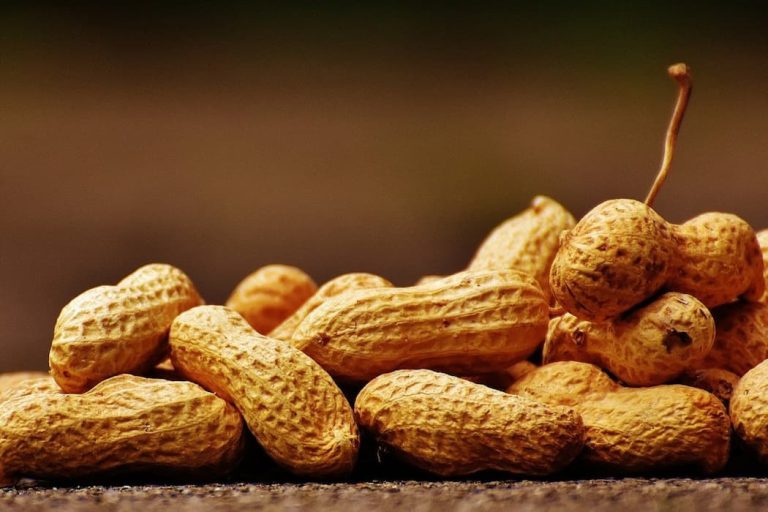 Peanut production benefits and risks price