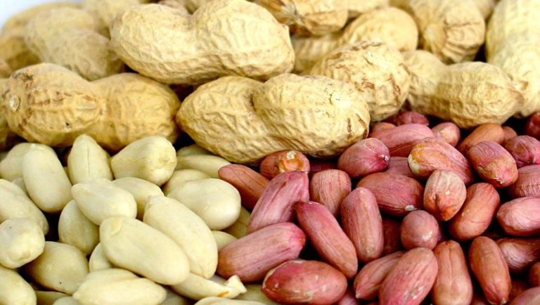 Where to Buy Raw Peanuts Online