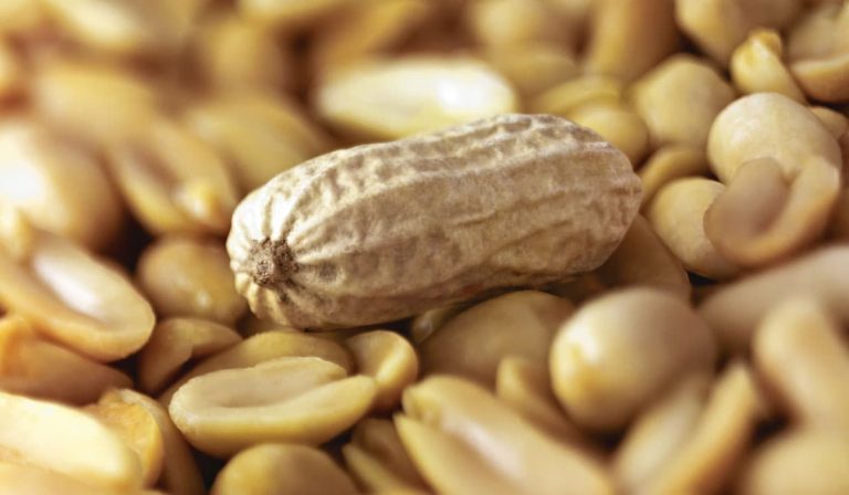 how to keep roasted peanuts fresh