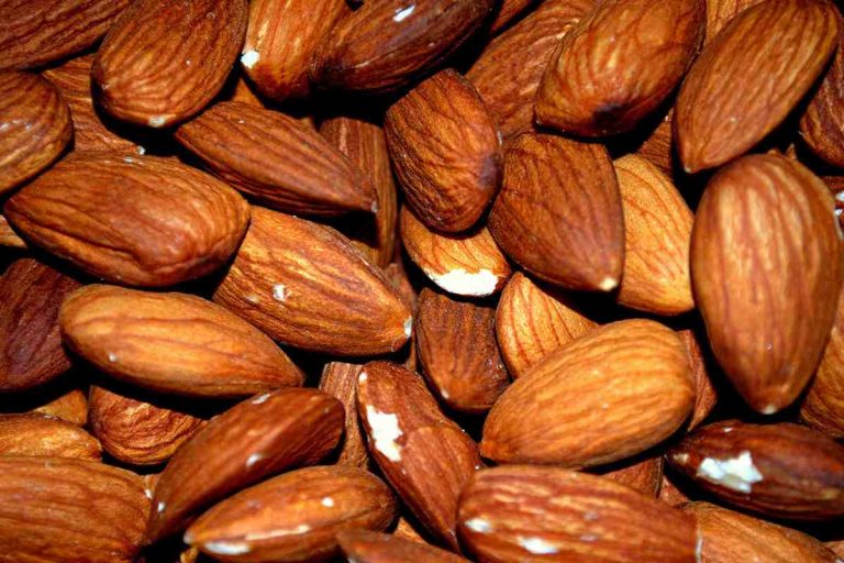 Almond nature hot or cold + wholesale price