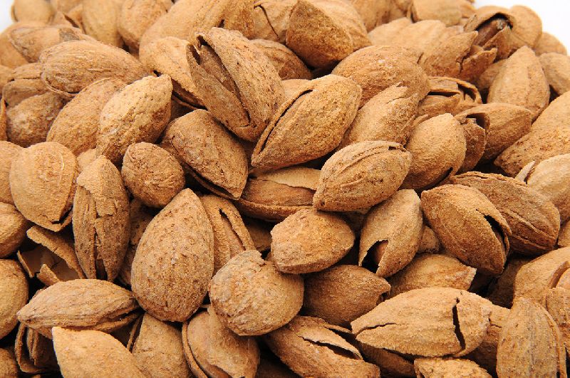 Suppliers That Are Driving the Future of Almond’s Industry