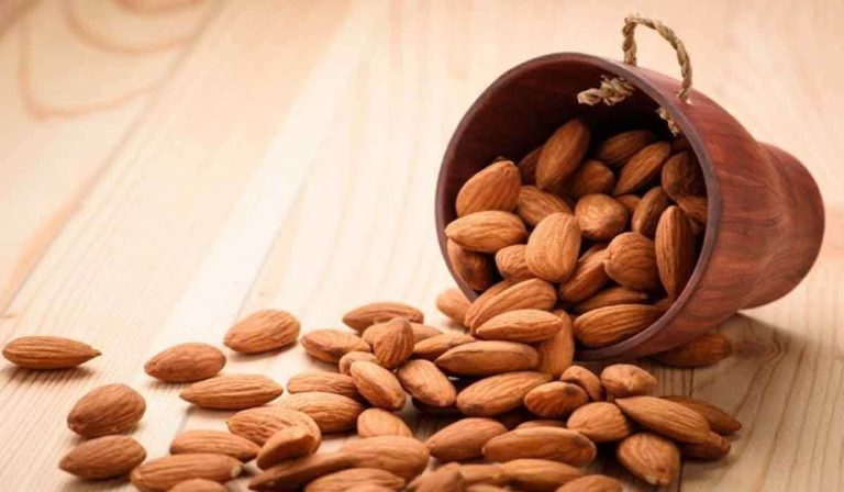 Almond in Arab + wholesale price