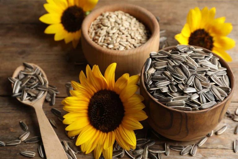 sunflower seed production by country