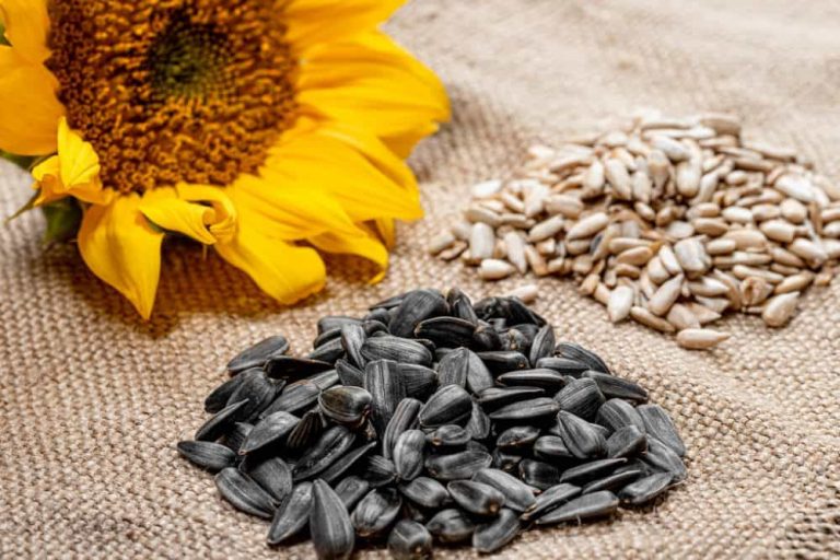 sunflower seeds benefits for skin and hair