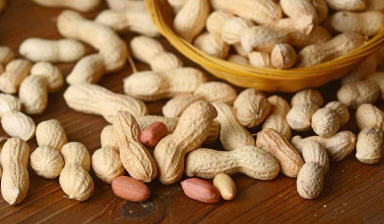 Peanut Different Types and Uses