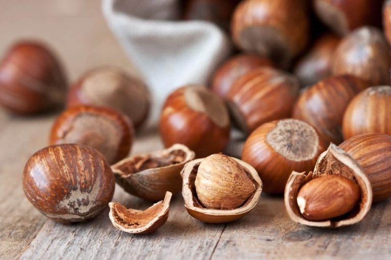 Hazelnuts for sale on Alibaba