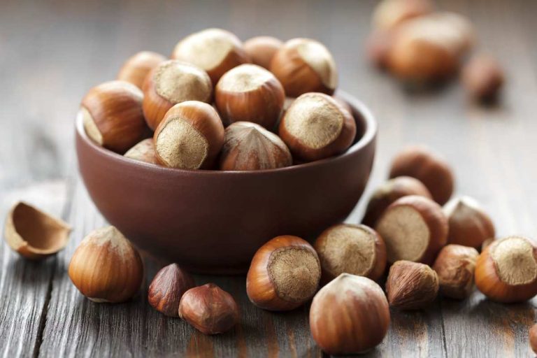 hazelnut industry growth rate and uses in foods agricultare