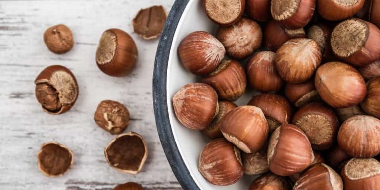 american hazelnut hedge spacing a wonderful plant