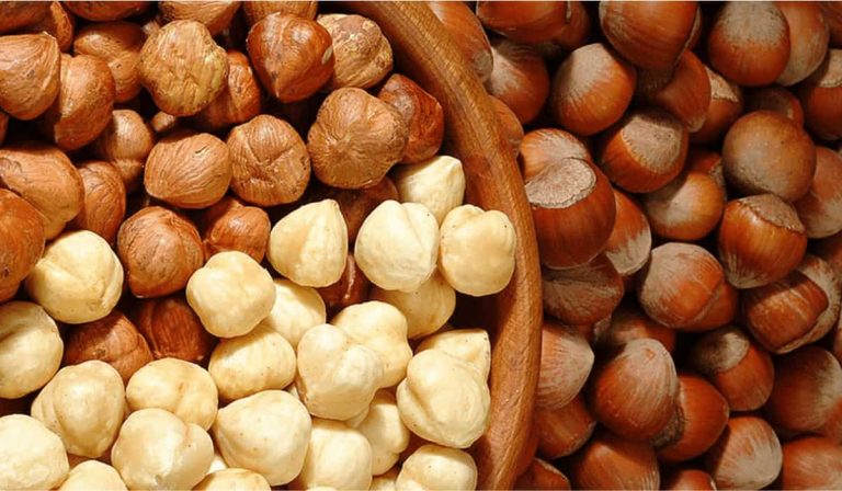 Hazelnut kernels price online from reputable stores