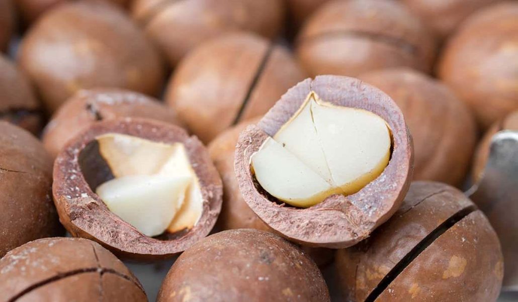 Macadamia nuts production process