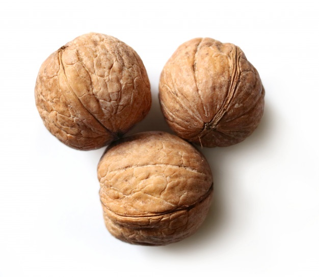 Wholesale quality walnuts in the market