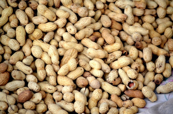 Peanuts for Sale in Bulk