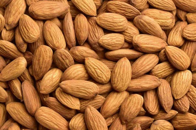 Almond wholesale in India