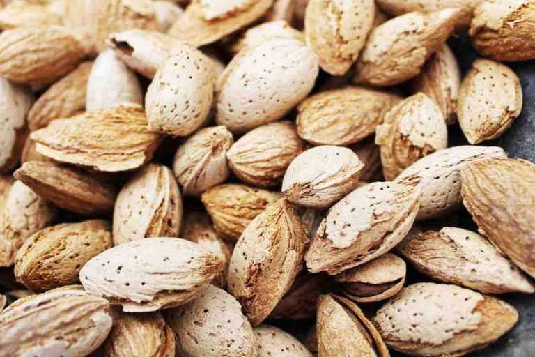 Cheap almond