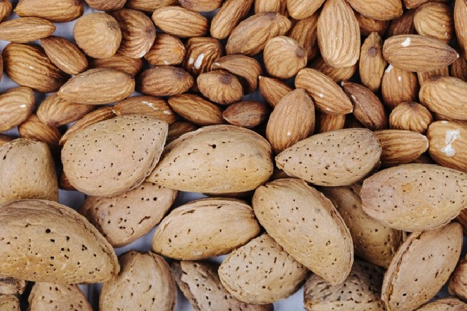 How does Iran’s Logistics Service Play a Better Role in Exporting Almonds?