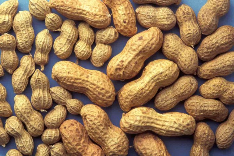 Peanut and almond differences