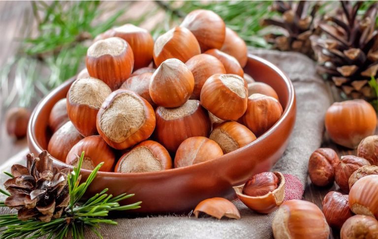 Hazelnut Bulk Price