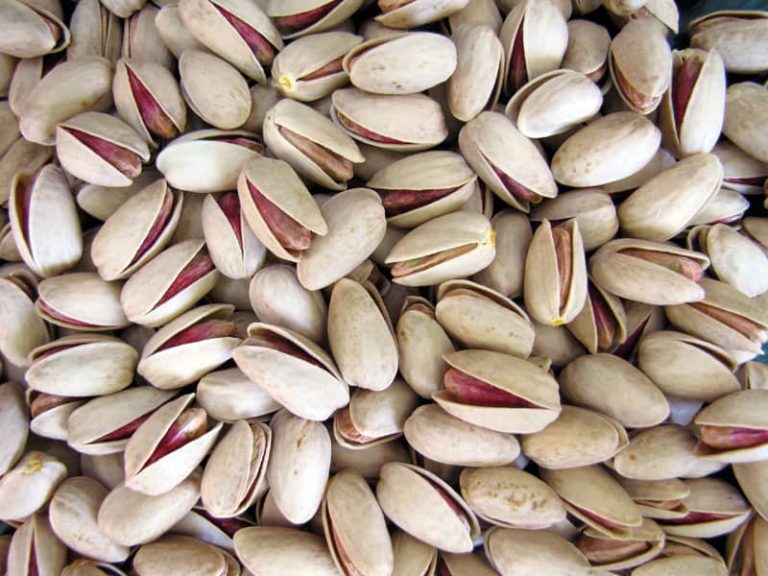 pistachio Akbari best quality