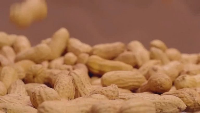 Peanuts for Sale Online