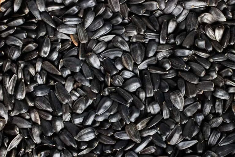 Sunflower seeds nutrition data