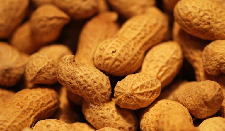 Peanut price per kg