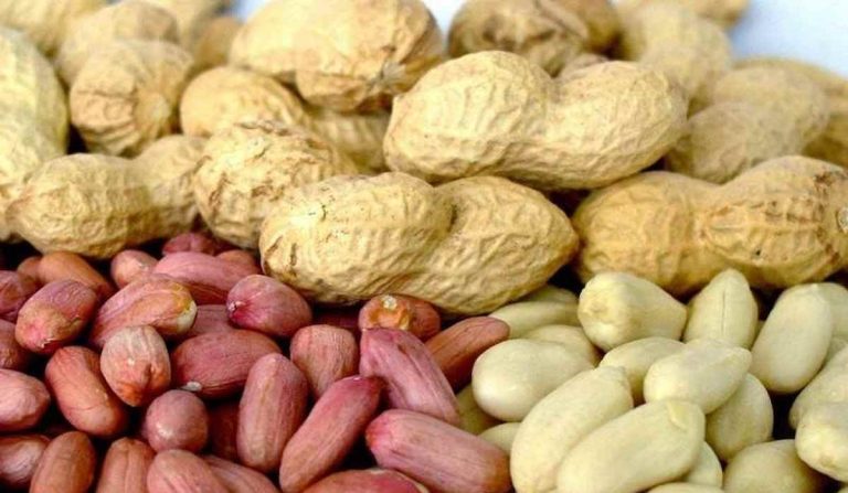 Peanut price per kg