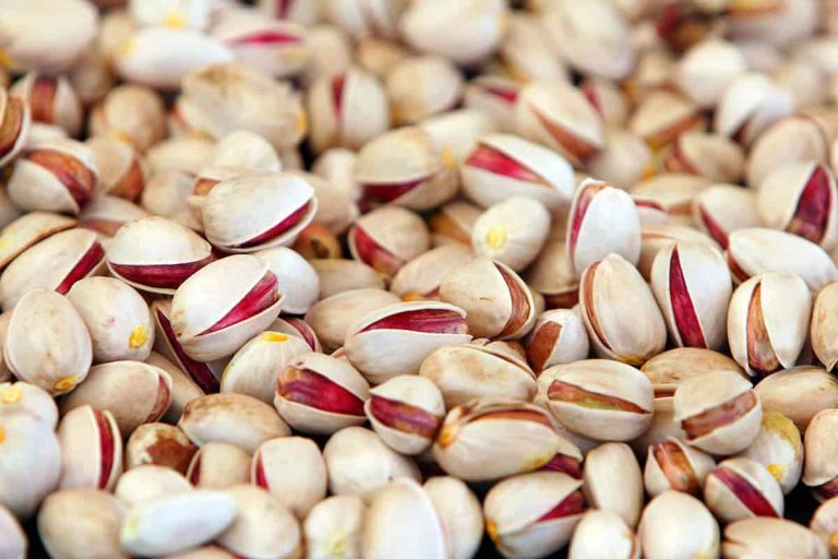 Iran in Exporting Pistachios