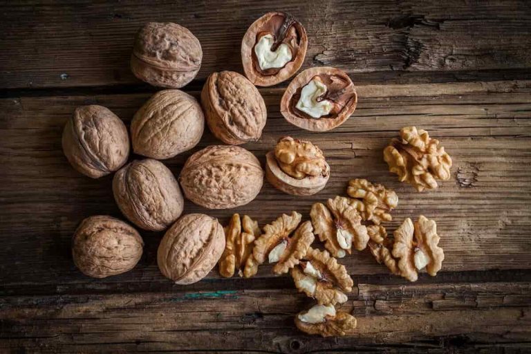 Walnut Marketing