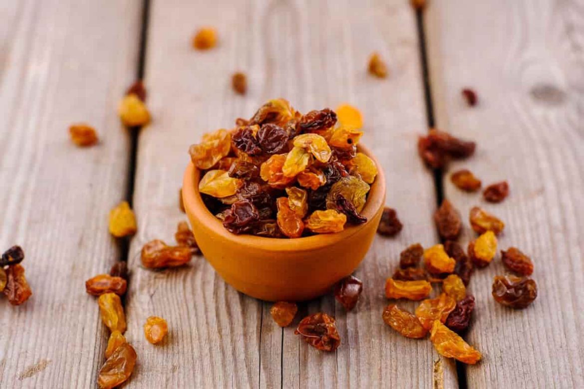 Best regular raisin bulk price