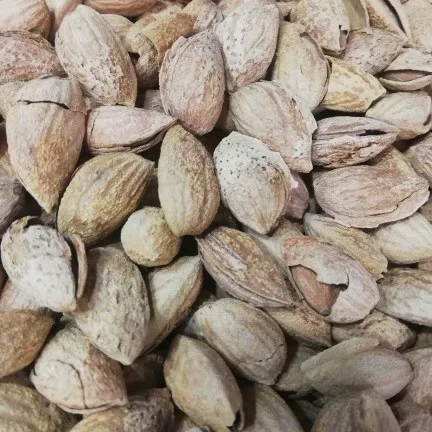 types of kashmiri almonds