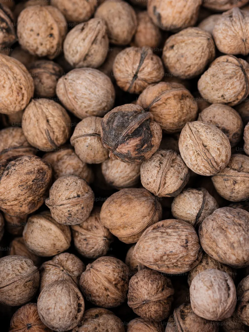 raw organic walnuts in shell purchase price + preparation method