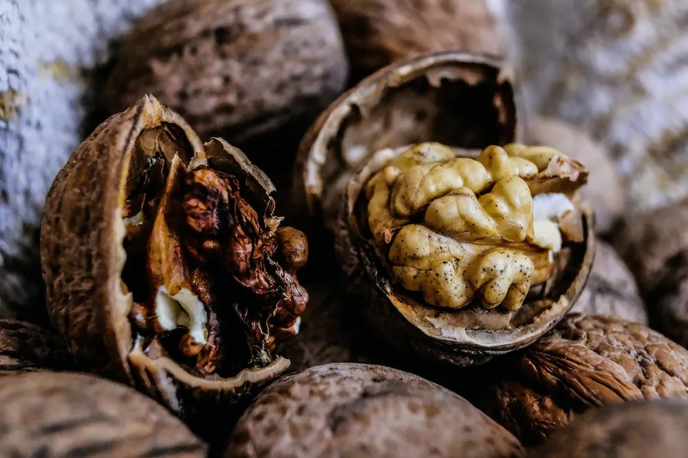 raw walnuts in shell purchase price + properties, disadvantages and advantages