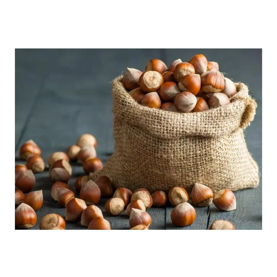 Purchase and price of all types of raw hazelnuts for sale 