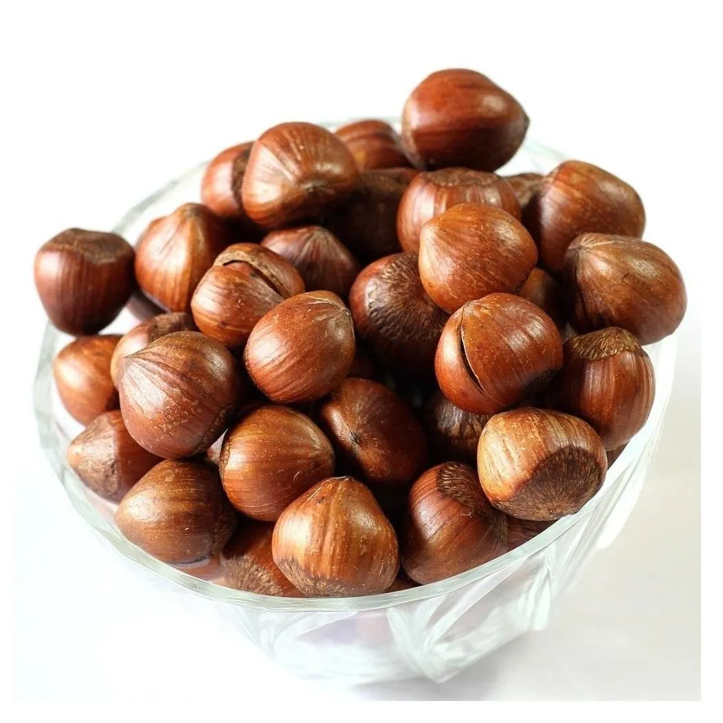 Purchase and price of all types of raw hazelnuts for sale 