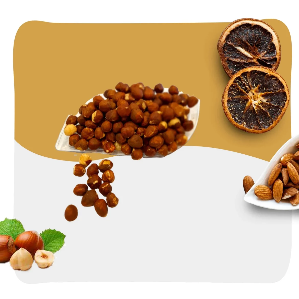 Purchase and price of all types of raw hazelnuts for sale