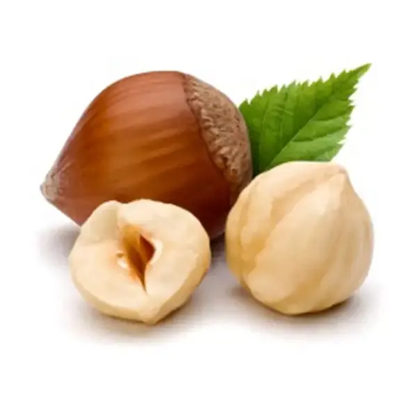 shell hazelnuts for sale purchase price + training