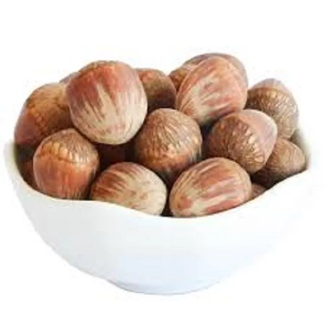 shell hazelnuts for sale purchase price + training