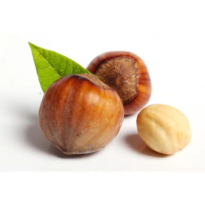 shell hazelnuts for sale purchase price + training