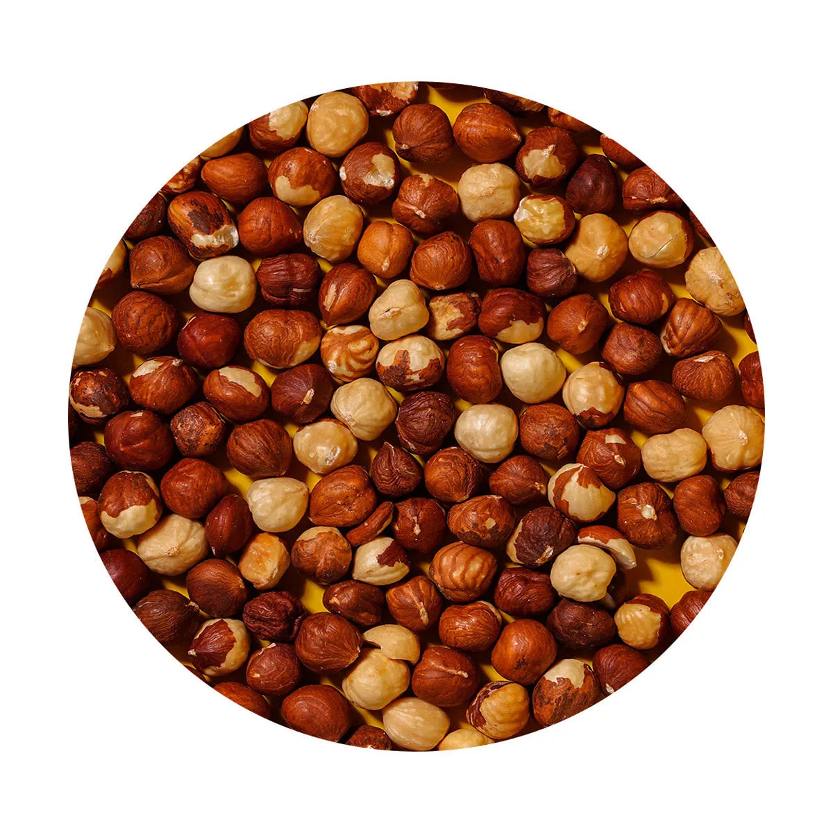 hazelnut kernel meal purchase price + photo