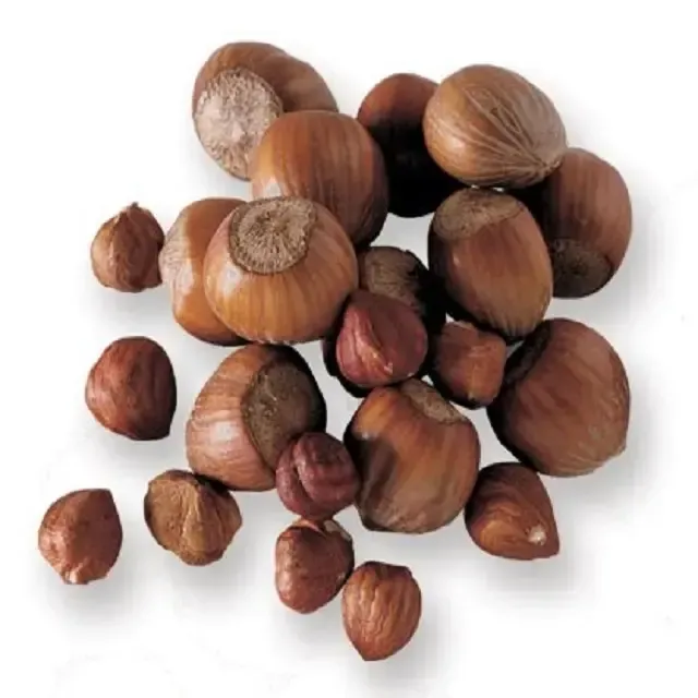 hazelnut kernel weight purchase price + training