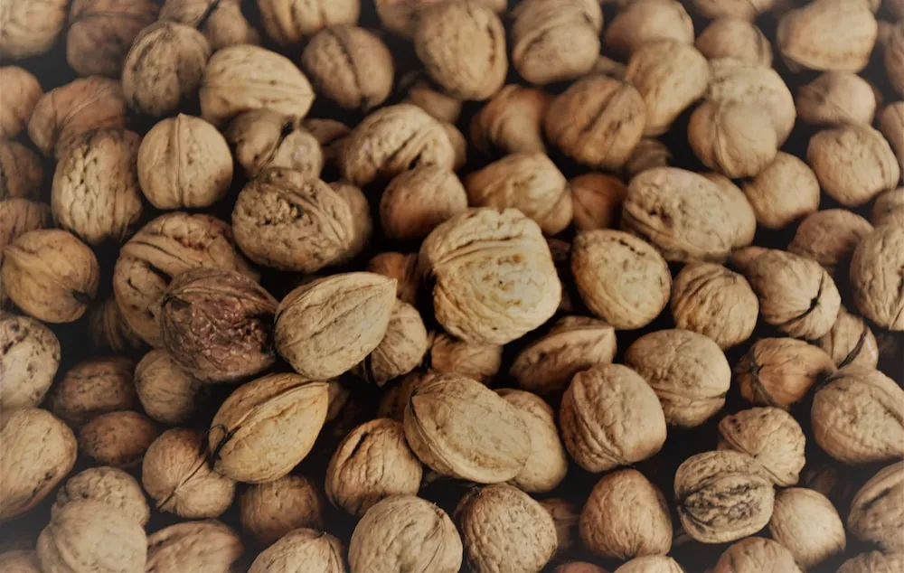 Lightly salted walnuts purchase price + specifications, cheap wholesale