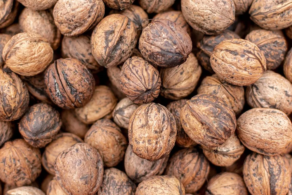 Lightly salted walnuts purchase price + specifications, cheap wholesale