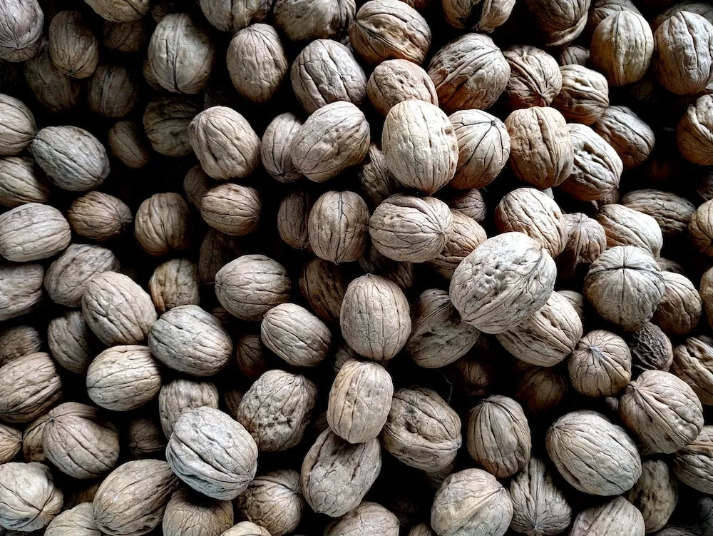 shelled walnuts per pound | Buy at a cheap price