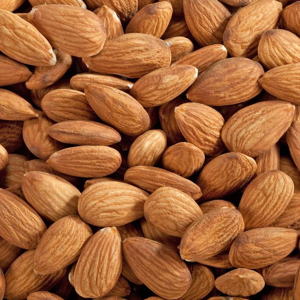 Buying all kinds of types of kashmiri almonds + price