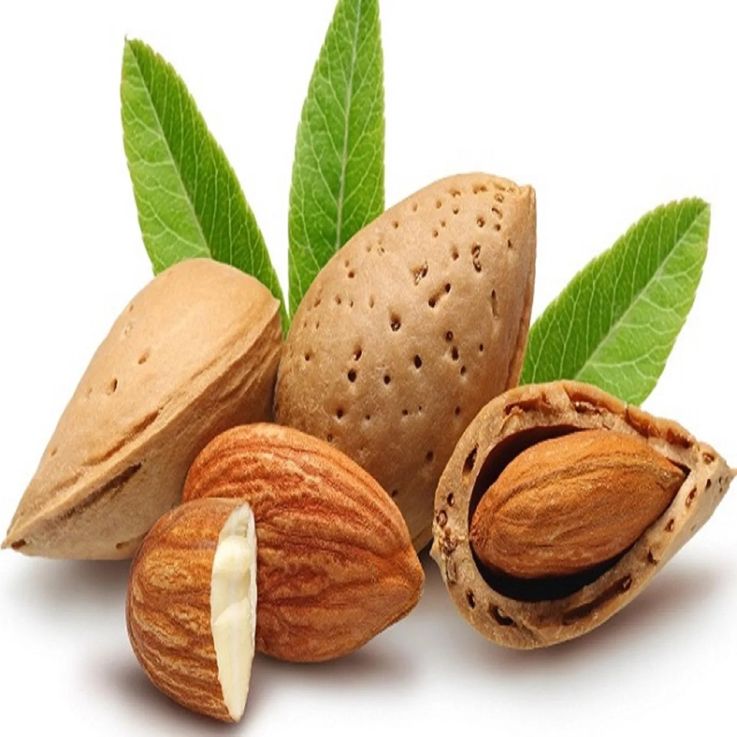 Purchase and price of all types of raw almond in shell