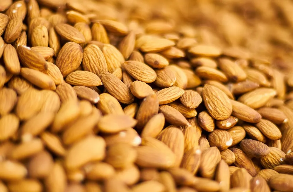 Purchase and today price of raw almond edible