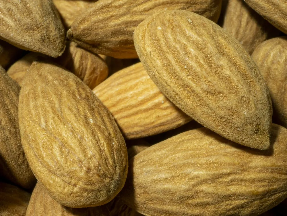 Buying all kinds of raw almond nuts + price